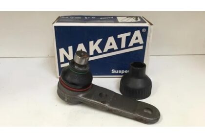 Pivo Bandeja Logus Pointer Verona Escort Europeu