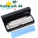 Gaita Harmônica Blues Swan Em Dó C 20 Vozes Diatônica Vida Aplicável para iniciantes /crianças